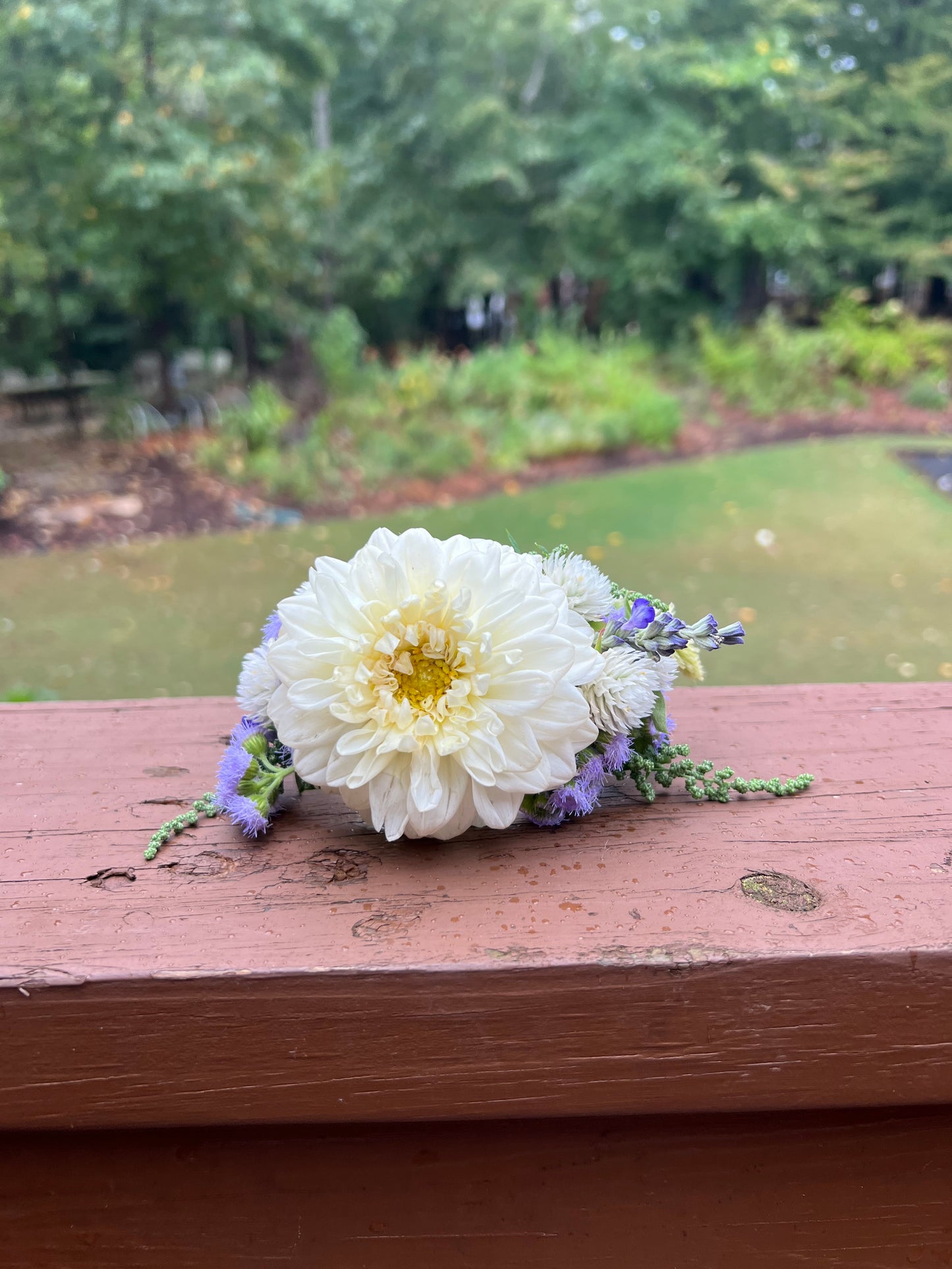 Corsages, Mini Bouquets, & Boutonnières