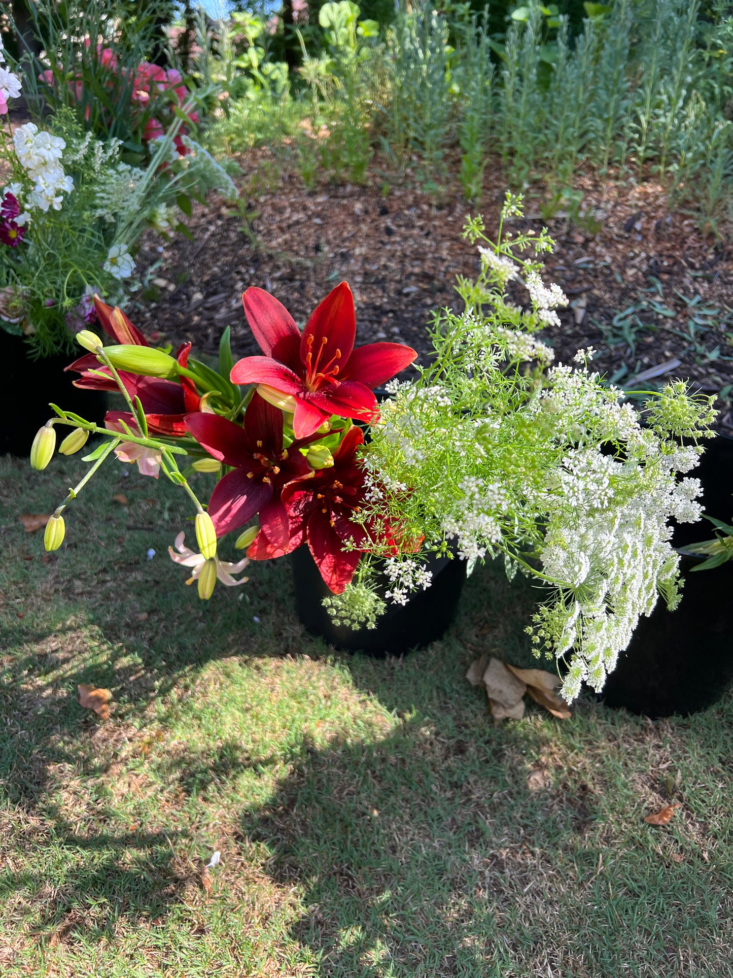 Flower Subscription | Grown in Alpharetta | Summer & Fall Bouquets